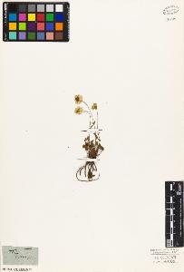 SW_BNB_s3010-05688_IMG-0000000001