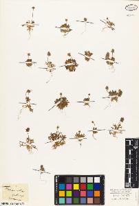 SW_BNB_s3010-05690_IMG-0000000001