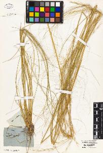 SW_BNB_s3010-05696_IMG-0000000001