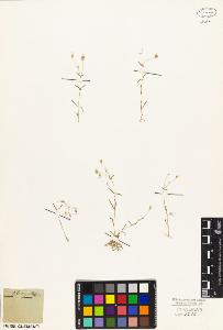 SW_BNB_s3010-05700_IMG-0000000001