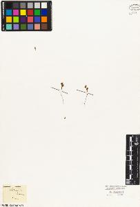 SW_BNB_s3010-05702_IMG-0000000001