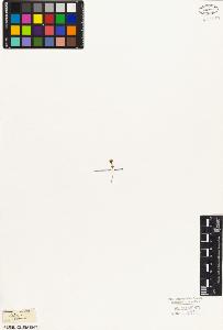 SW_BNB_s3010-05703_IMG-0000000001