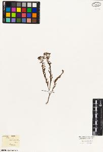 SW_BNB_s3010-05706_IMG-0000000001