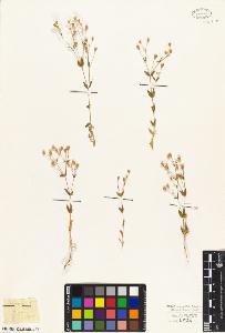 SW_BNB_s3010-05710_IMG-0000000001