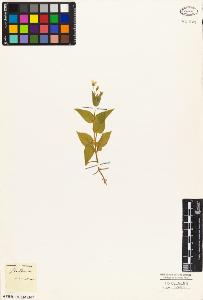 SW_BNB_s3010-05713_IMG-0000000001