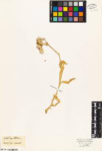 SW_BNB_s3010-05718_IMG-0000000001