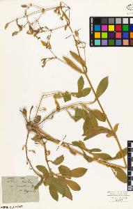 SW_BNB_s3010-05720_IMG-0000000001