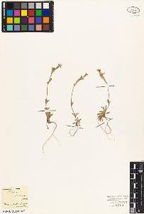 SW_BNB_s3010-05723_IMG-0000000001