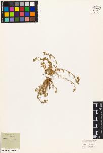 SW_BNB_s3010-05725_IMG-0000000001
