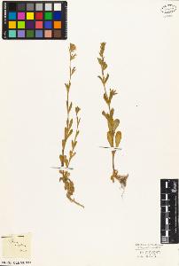 SW_BNB_s3010-05728_IMG-0000000001