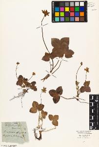SW_BNB_s3010-05729_IMG-0000000001