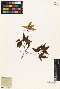 SW_BNB_s3010-05741_IMG-0000000001