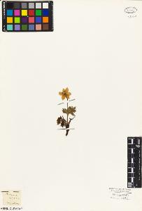 SW_BNB_s3010-05743_IMG-0000000001