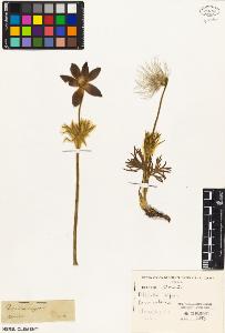 SW_BNB_s3010-05745_IMG-0000000001