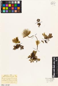 SW_BNB_s3010-05746_IMG-0000000001