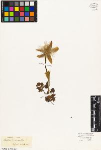 SW_BNB_s3010-05747_IMG-0000000001