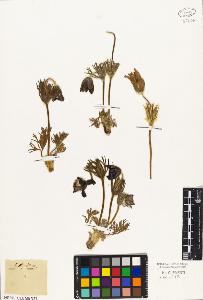 SW_BNB_s3010-05749_IMG-0000000001
