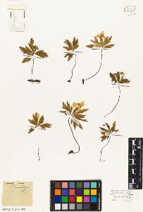 SW_BNB_s3010-05755_IMG-0000000001