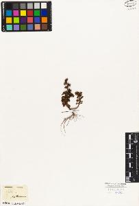 SW_BNB_s3010-05759_IMG-0000000001