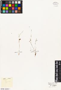 SW_BNB_s3010-05761_IMG-0000000001