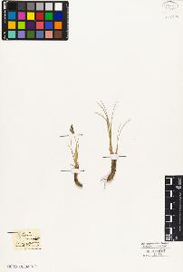 SW_BNB_s3010-05763_IMG-0000000001