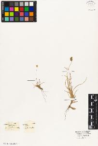 SW_BNB_s3010-05764_IMG-0000000001