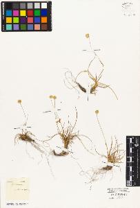 SW_BNB_s3010-05765_IMG-0000000001