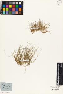 SW_BNB_s3010-05769_IMG-0000000001
