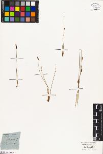 SW_BNB_s3010-05770_IMG-0000000001