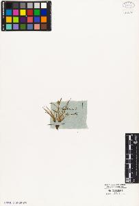 SW_BNB_s3010-05772_IMG-0000000001