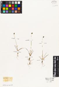 SW_BNB_s3010-05786_IMG-0000000001