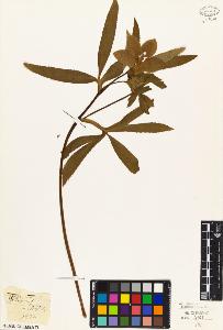 SW_BNB_s3010-05790_IMG-0000000001