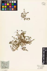 SW_BNB_s3010-05798_IMG-0000000001