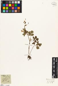 SW_BNB_s3010-05800_IMG-0000000001