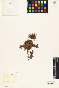 SW_BNB_s3010-05803_IMG-0000000001