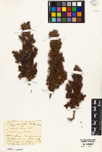 SW_BNB_s3010-05809_IMG-0000000001