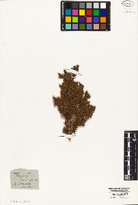 SW_BNB_s3010-05810_IMG-0000000001