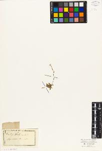 SW_BNB_s3010-05815_IMG-0000000001