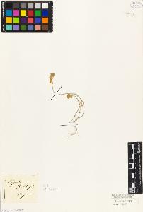 SW_BNB_s3010-05817_IMG-0000000001