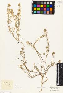 SW_BNB_s3010-05818_IMG-0000000001