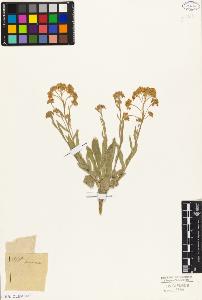 SW_BNB_s3010-05820_IMG-0000000001