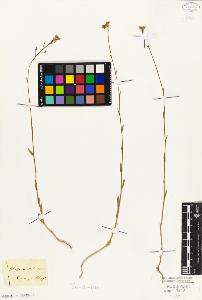 SW_BNB_s3010-05824_IMG-0000000001