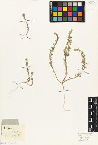 SW_BNB_s3010-05826_IMG-0000000001