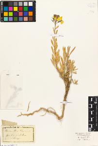 SW_BNB_s3010-05827_IMG-0000000001