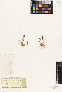 SW_BNB_s3010-05829_IMG-0000000001