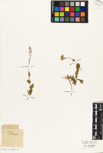 SW_BNB_s3010-05835_IMG-0000000001
