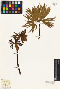 SW_BNB_s3010-05841_IMG-0000000001