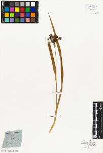 SW_BNB_s3010-05844_IMG-0000000001