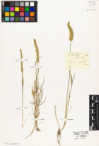 SW_BNB_s3010-05849_IMG-0000000001