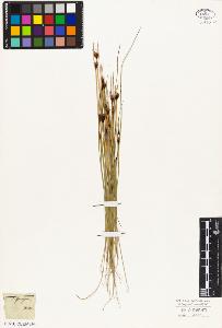 SW_BNB_s3010-05854_IMG-0000000001